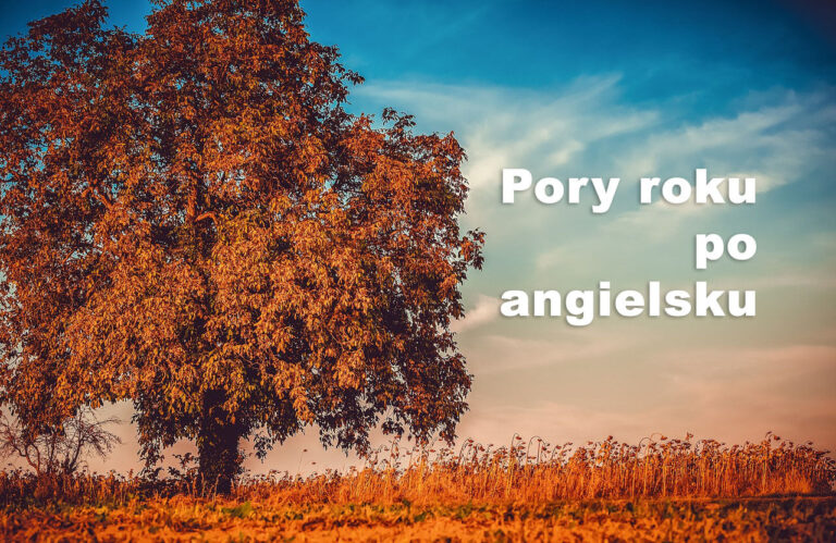 pory roku po angielsku